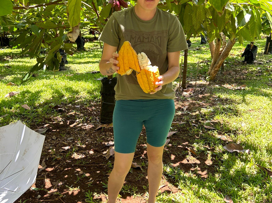 Mahi‘ai Made-希洛必去景点