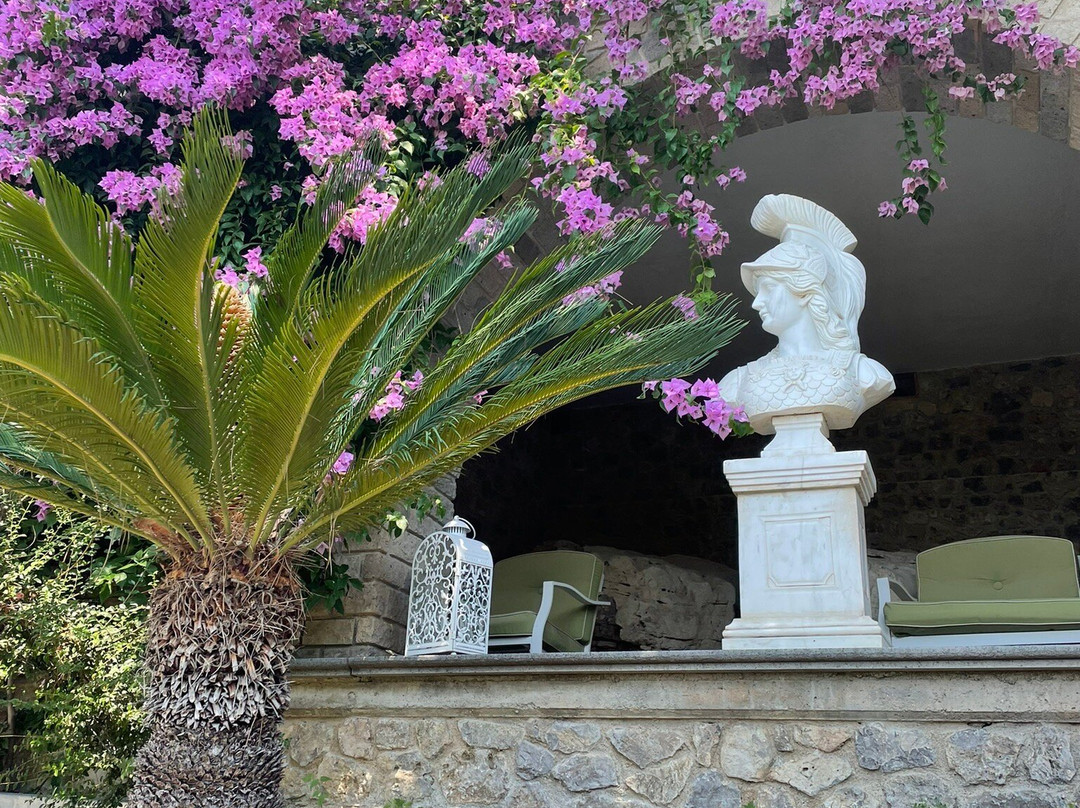 Villa Di Natale主图