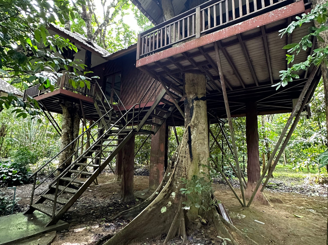 班昂考索渡假村主图