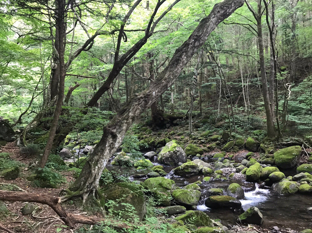 Shojinsawa Spring-盐谷町必去景点