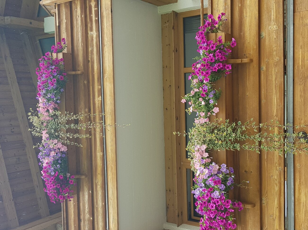 Hotel Silberfux主图