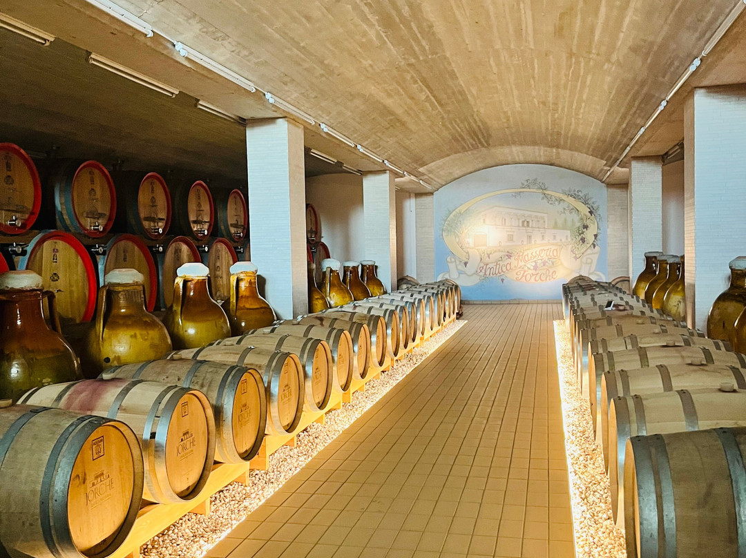 Jorche Winery-Torricella必去景点