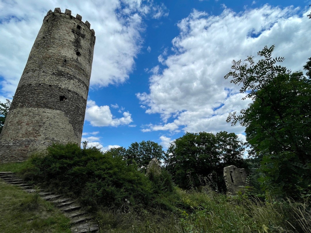 Castle Selmberk景点图片