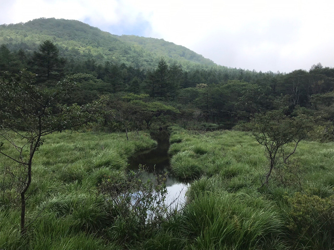 Numappara Marshland-那须盐原市必去景点