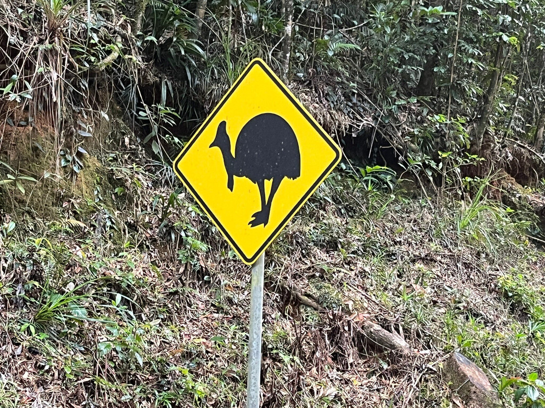 Wallaman Falls-Ingham必去景点