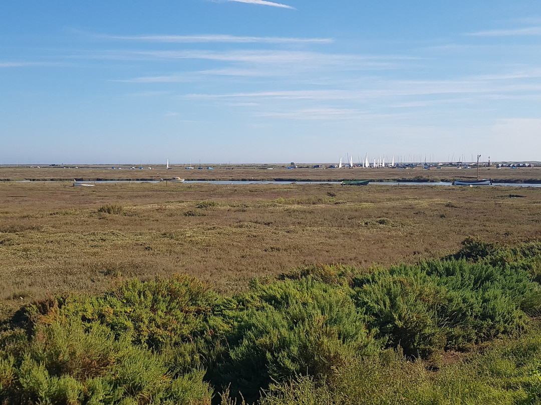 Norfolk Coast Path景点图片
