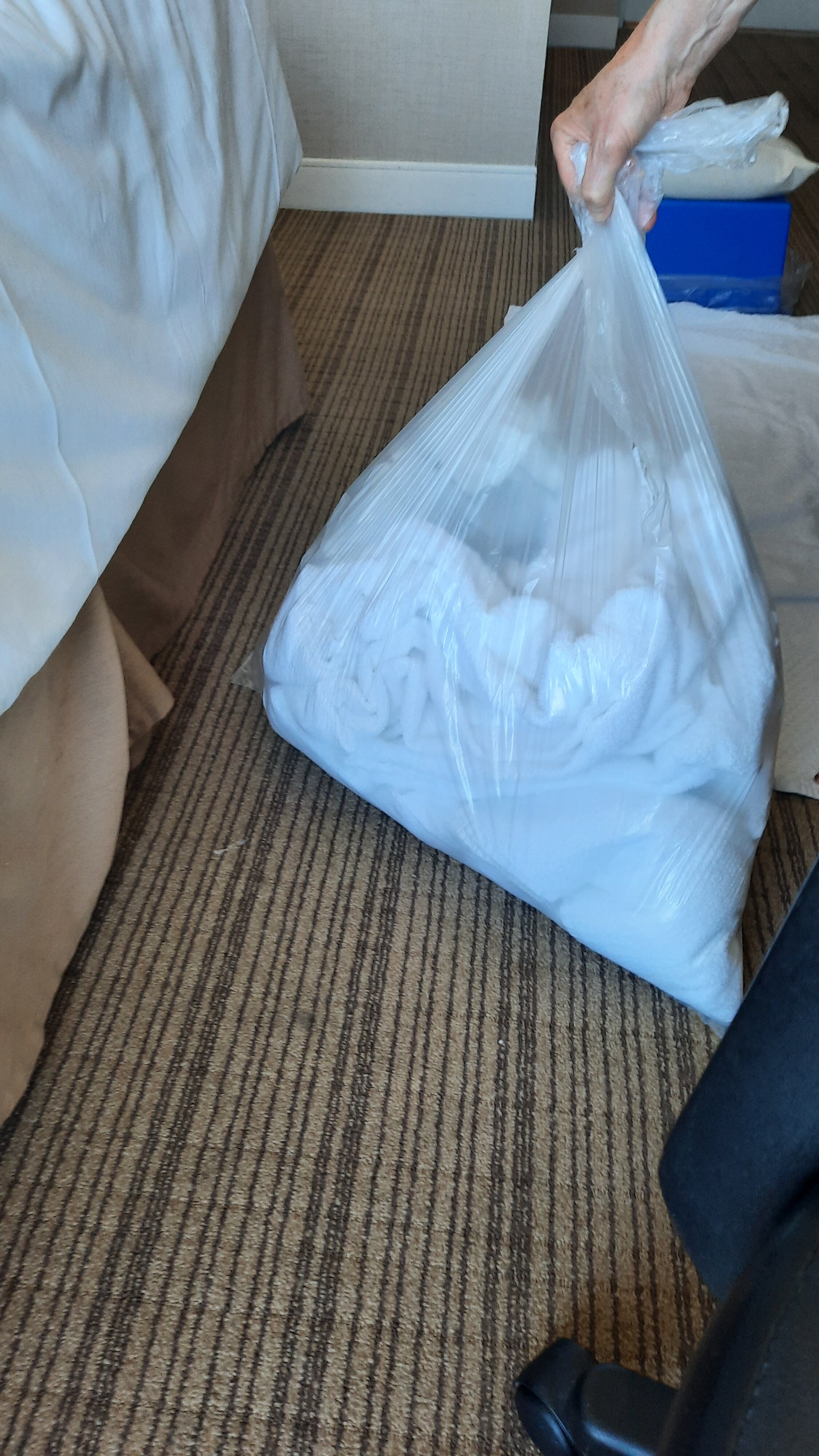 尼亚加拉瀑布景观希尔顿套房酒店-浴室