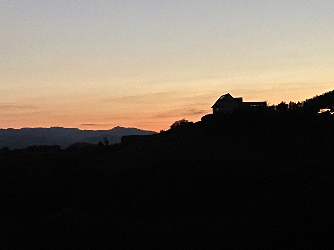 Weinidylle Dreisiebner主图