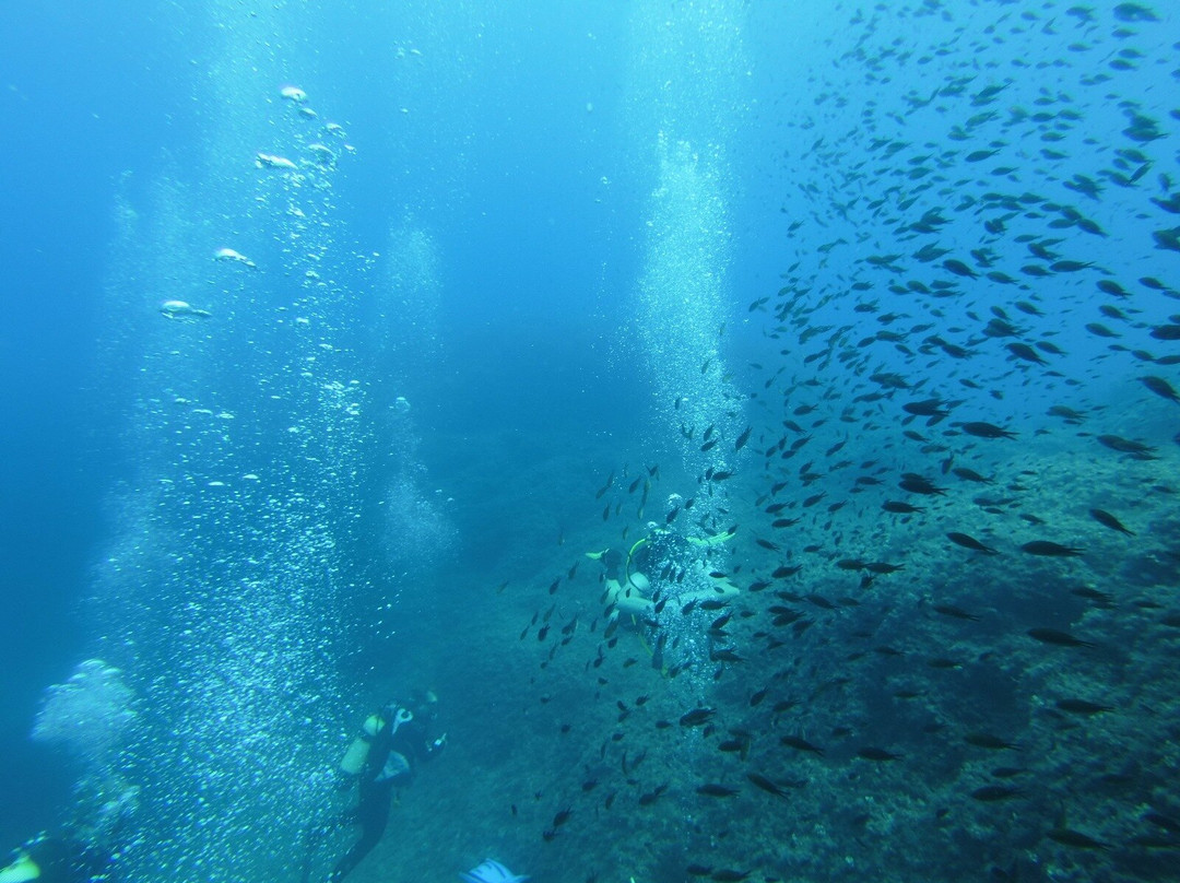MDS My Diving School-卡拉多尔必去景点