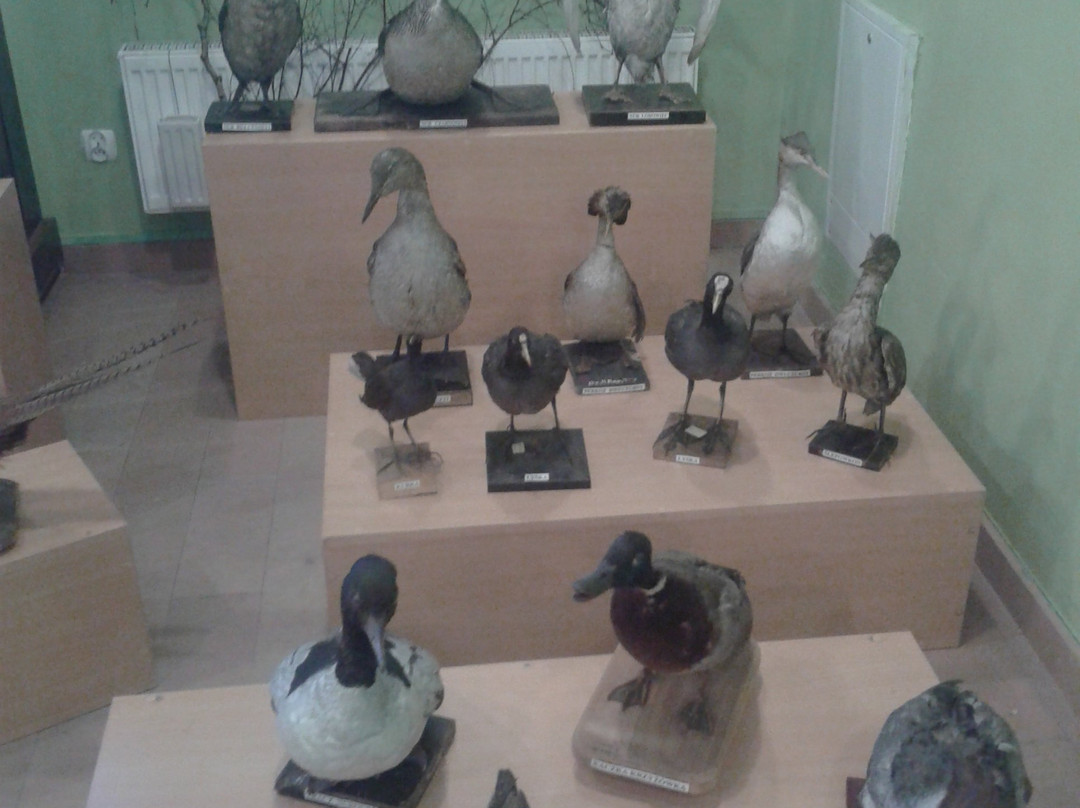 Muzeum Miejskie w Zywcu景点图片