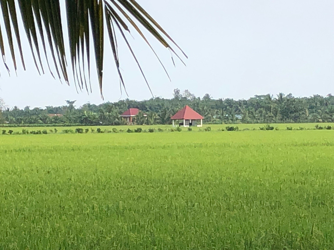 Bassac River Retreat-芹苴必去景点