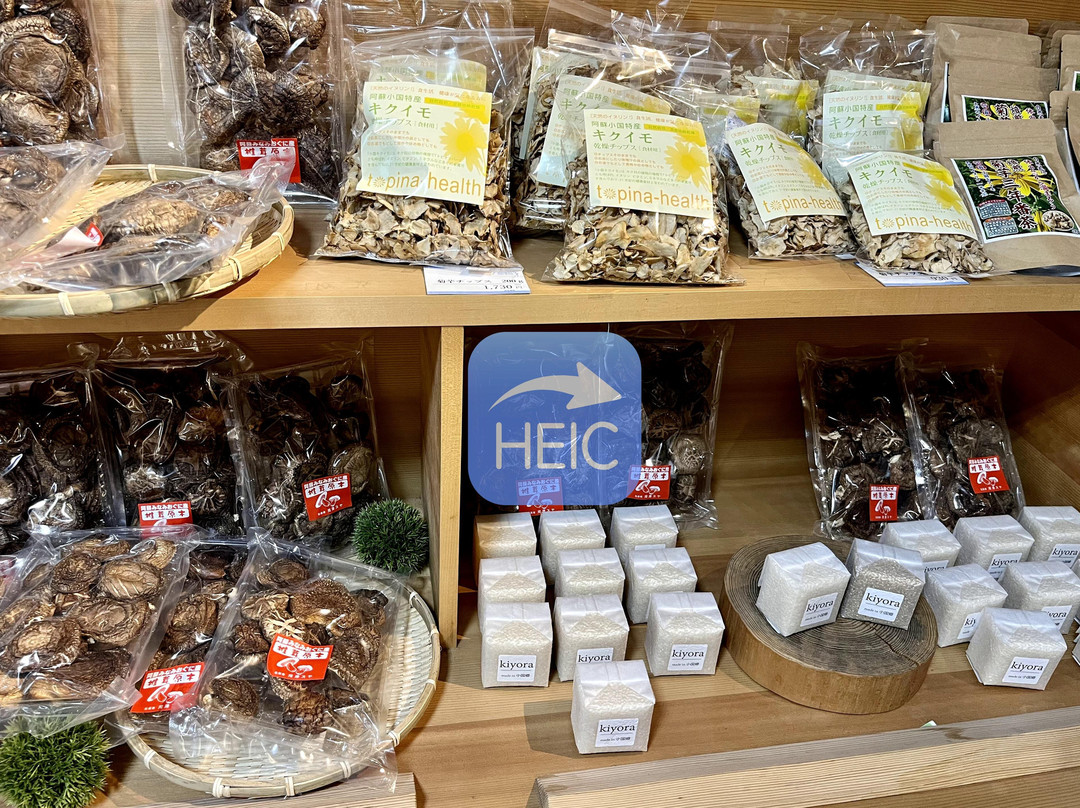 Sanai Rest House-南小国町必去景点