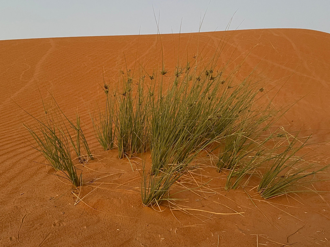 Nomadtours - Land & Camping tours-马斯喀特必去景点