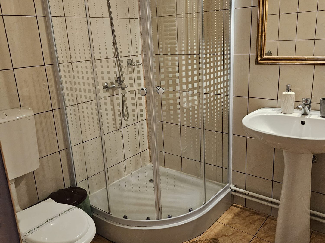 Pensiunea Casa Sighisoreana主图