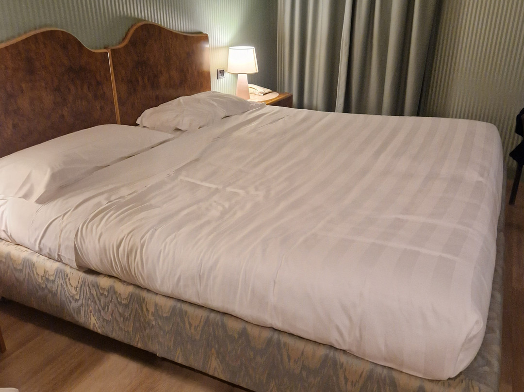 伯露贾公园酒店主图