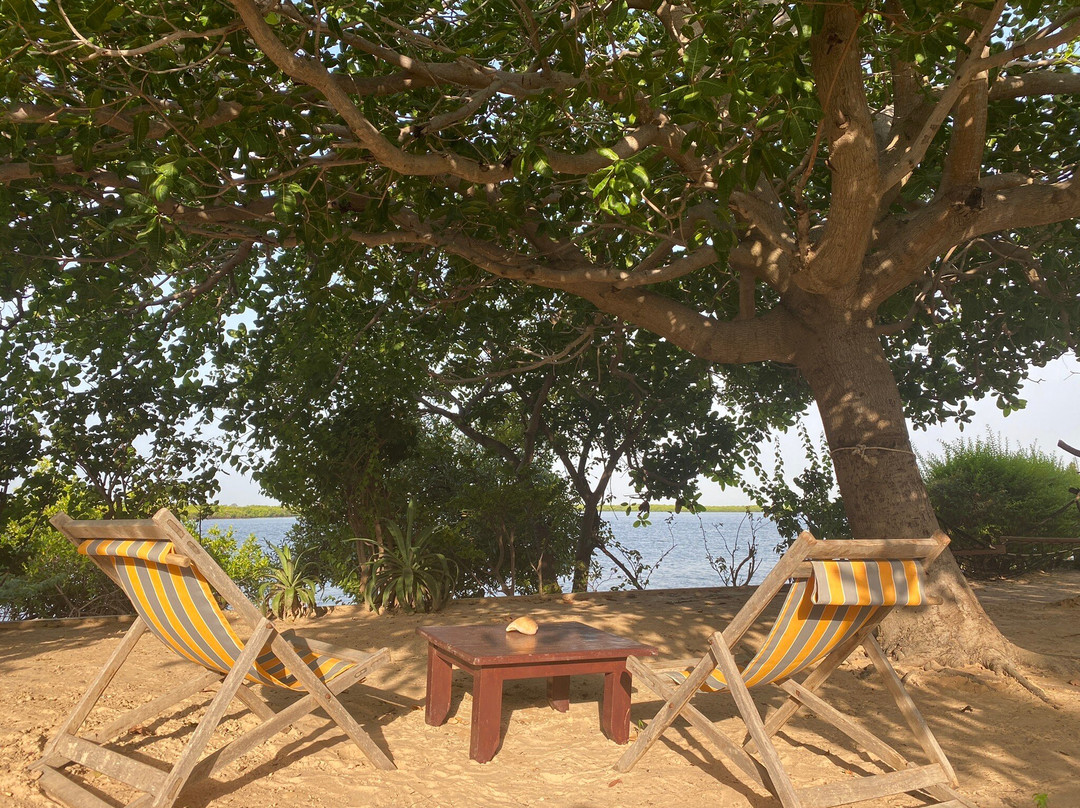 Ecolodge Le Bazouk du Saloum主图