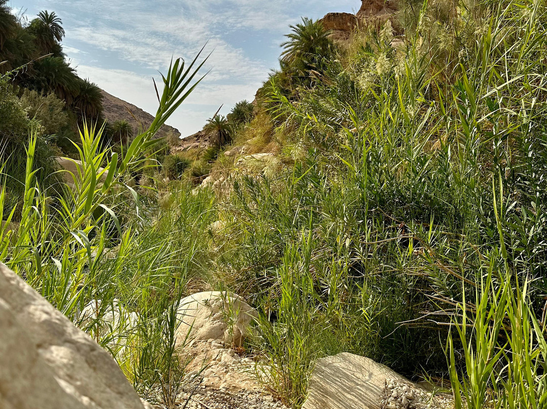Wadi Bin Hammad-Karak必去景点