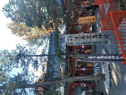 Ikushimatarushima Shrine景点图片