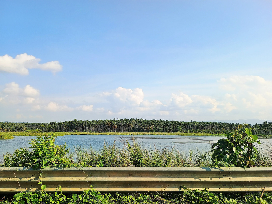 Bhadra River Project Dam景点图片