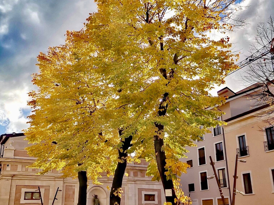 Piazza Regina Margherita-拉奎拉必去景点
