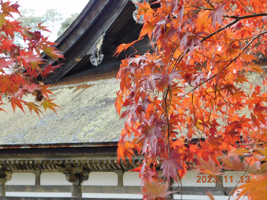 Zensui-ji Main Temple bldg-湖南市必去景点