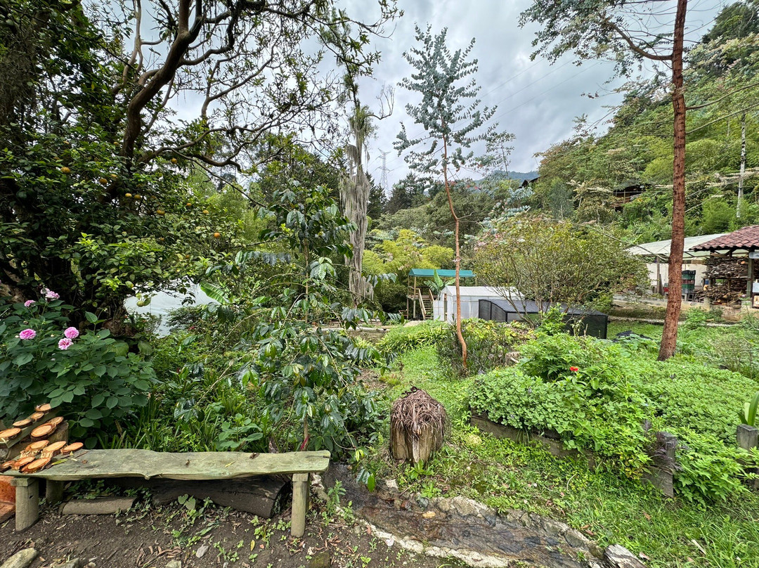 La Casa Grande Coffee Hacienda景点图片
