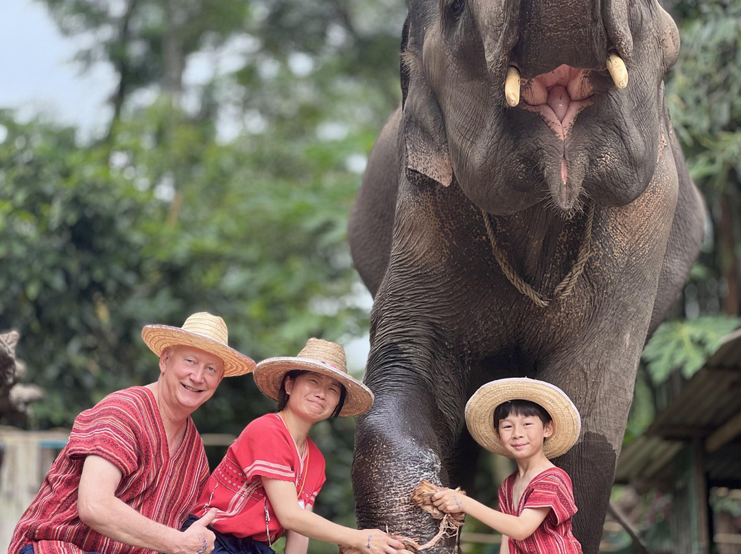 Maerim Elephant Home-夜林必去景点