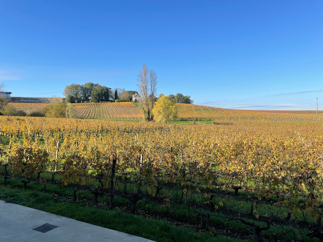 La Maison Cardinale-Saint-Etienne-De-Lisse必去景点