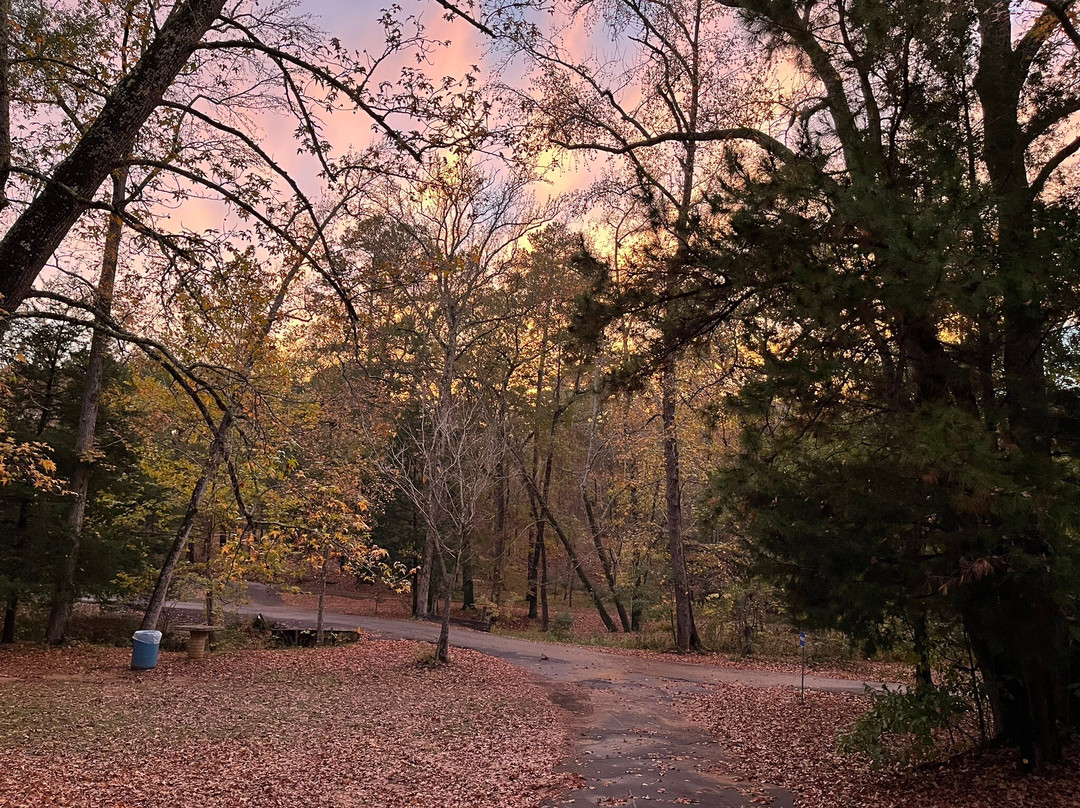 Davey Dogwood Park-Palestine必去景点