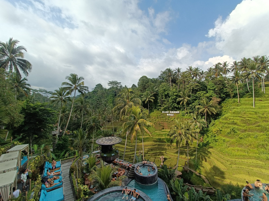 Bali Travelo - Day Tours景点图片