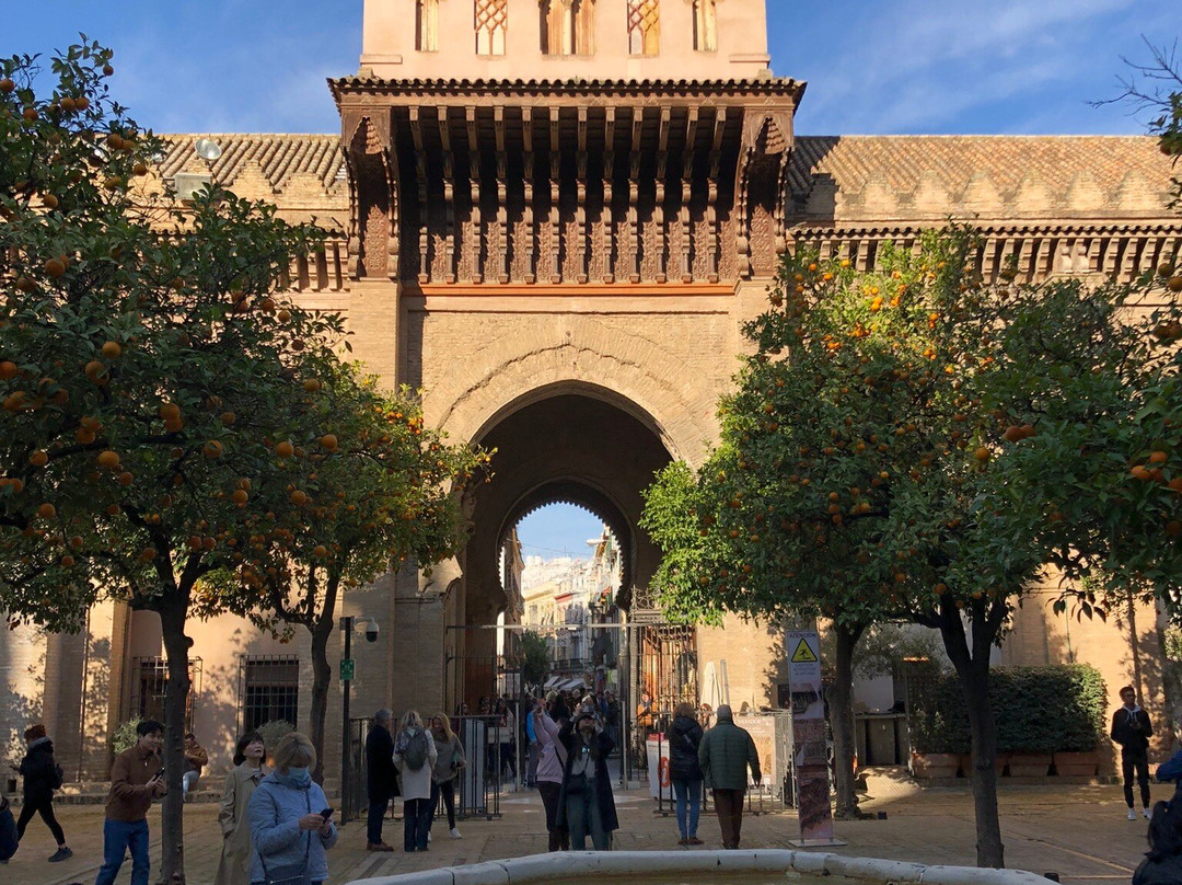 Tours By Locals-塞维利亚必去景点