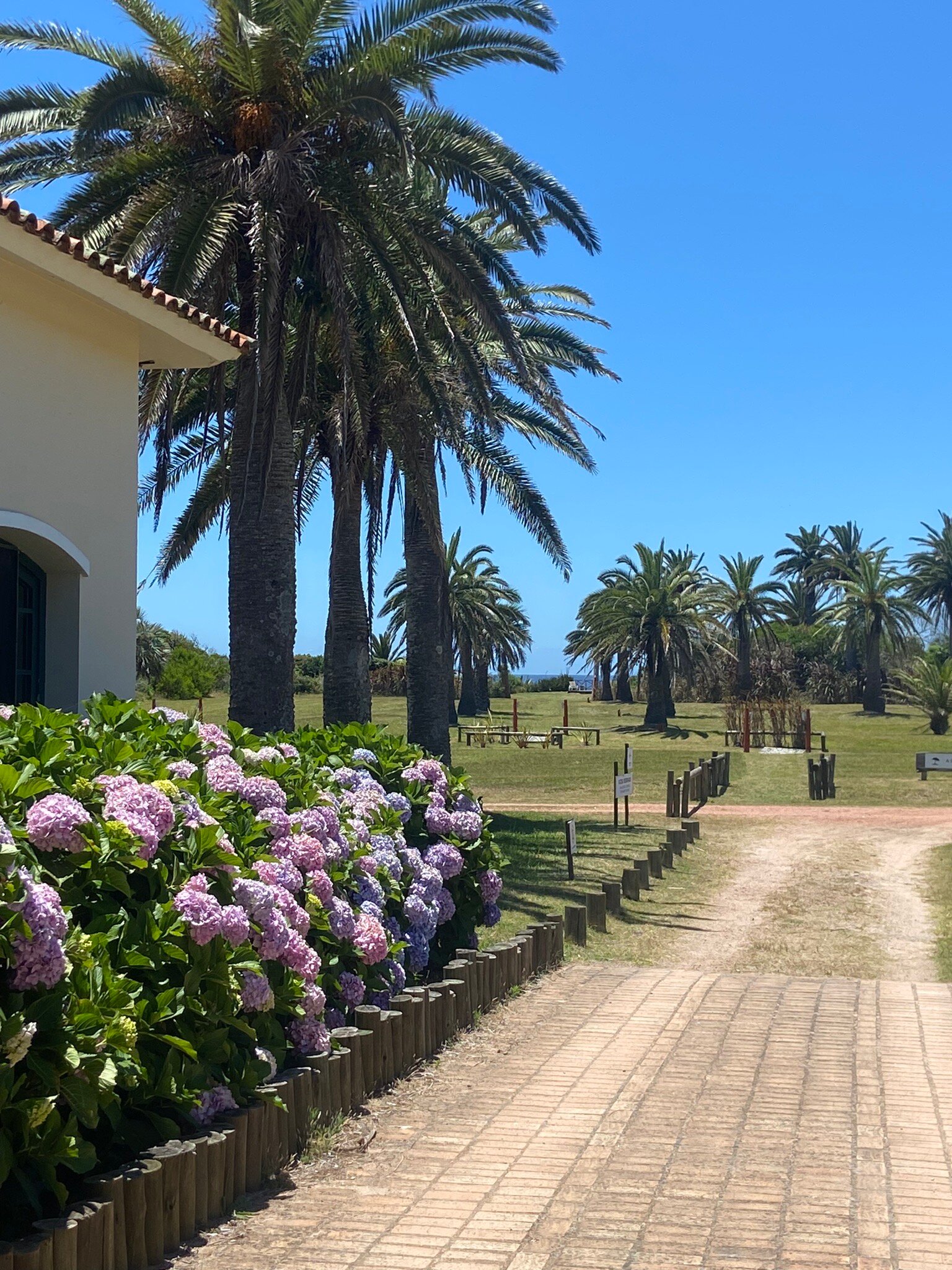 Hotel Parque Oceanico-官方