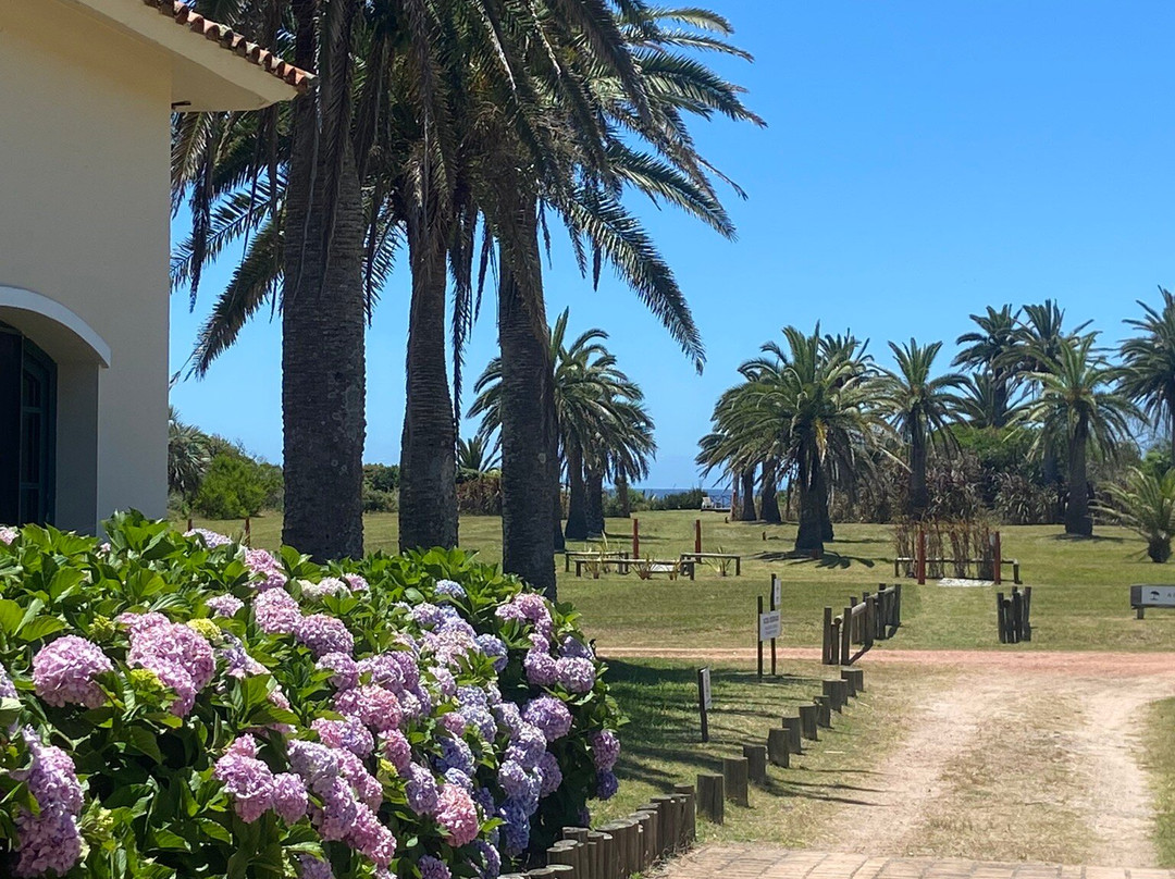 Hotel Parque Oceanico主图