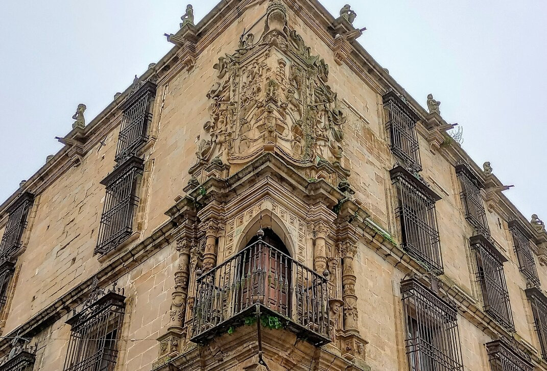 Palacio de Orellanas-Pizarro景点图片