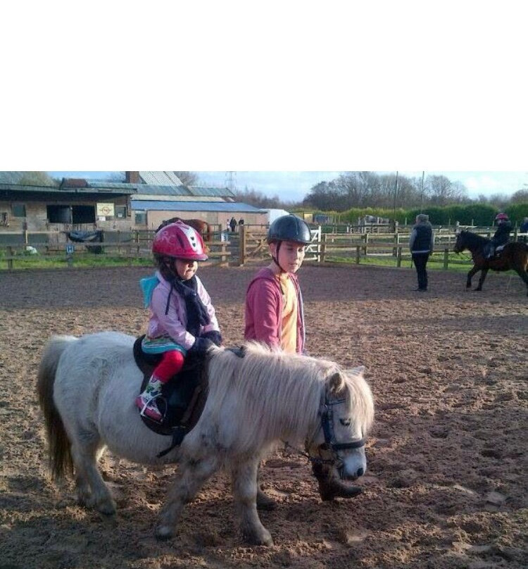 Carrington Riding Centre景点图片