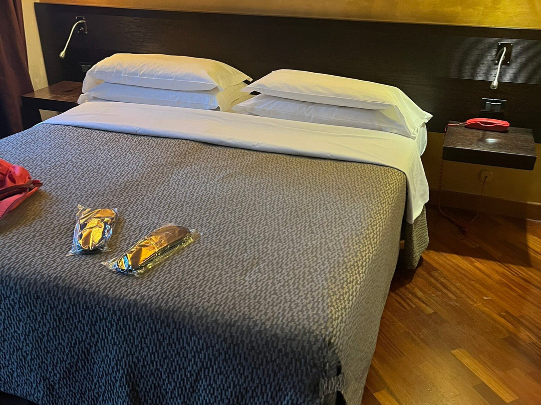 热迪罗马酒店主图