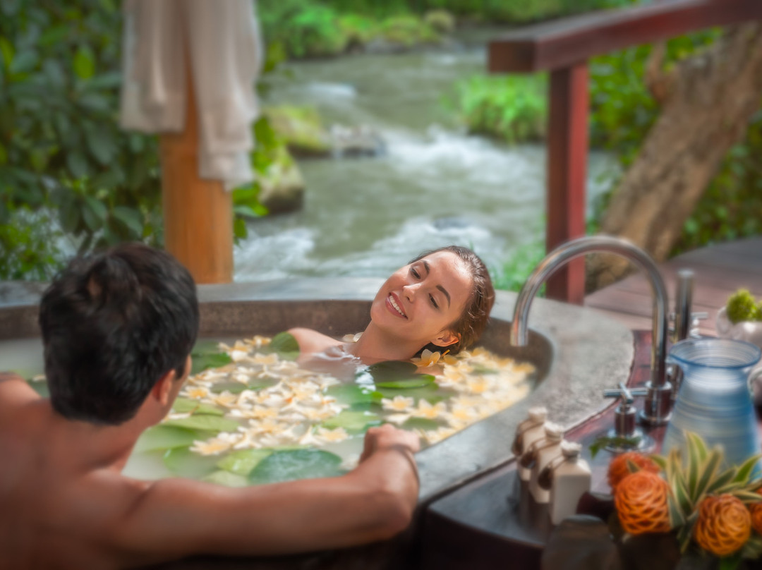 Fivelements Healing & Wellness景点图片