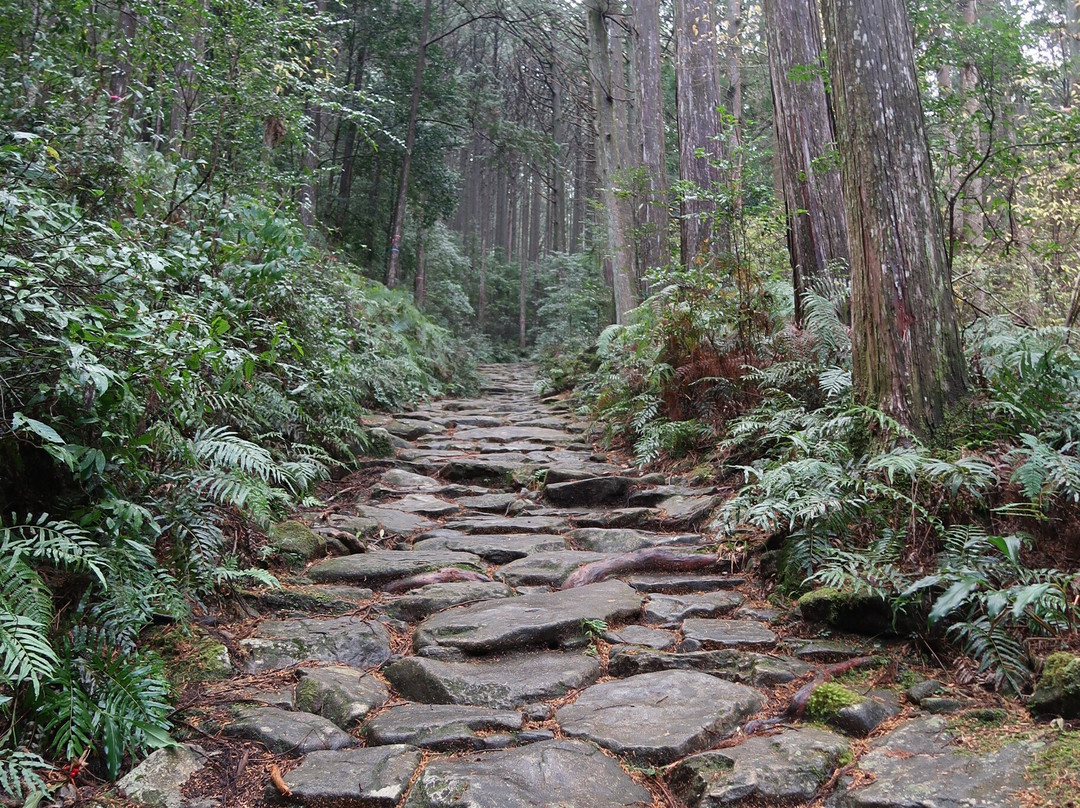 Kumano Kodo Magose Pass景点图片