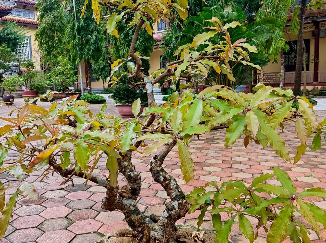 Tu Dam Pagoda景点图片