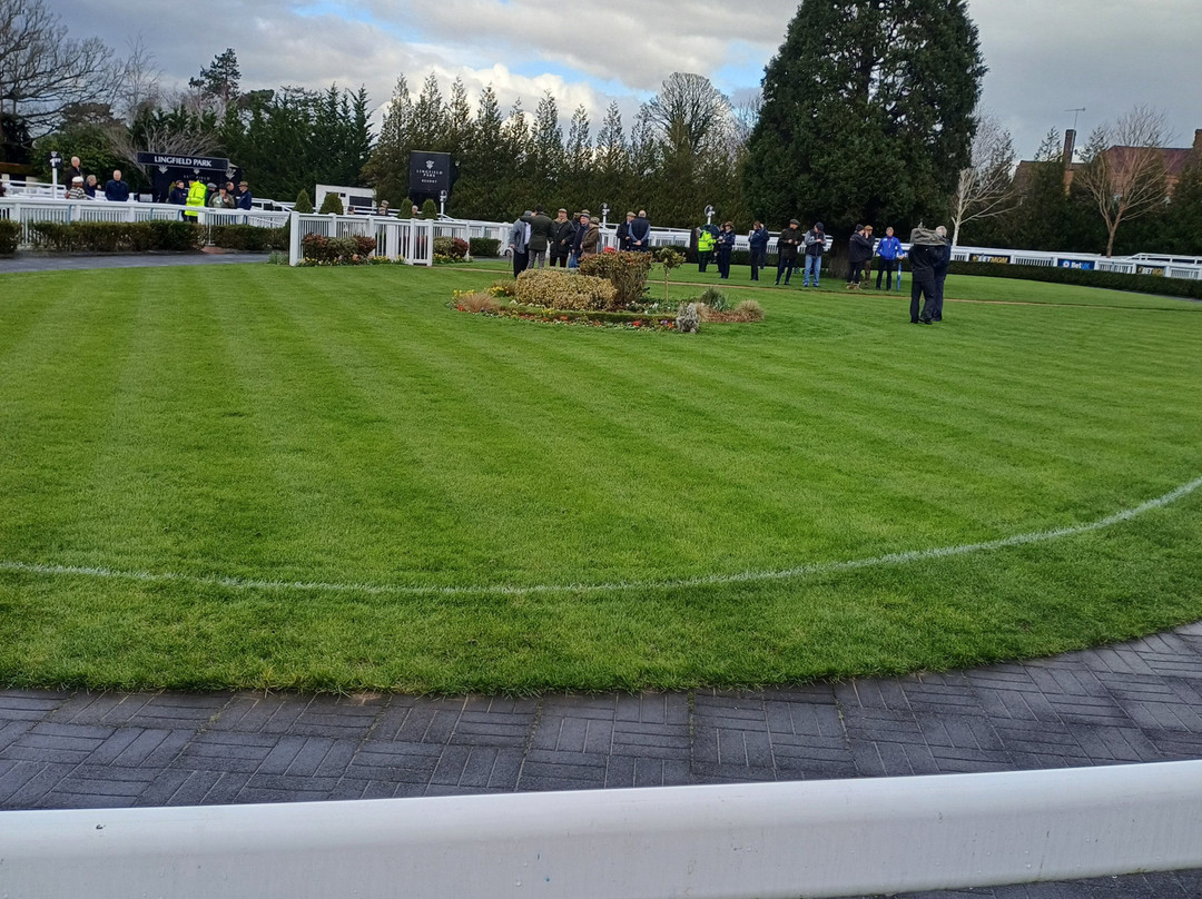 Lingfield Park Resort景点图片