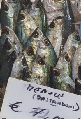 Mercato del Pesce景点图片