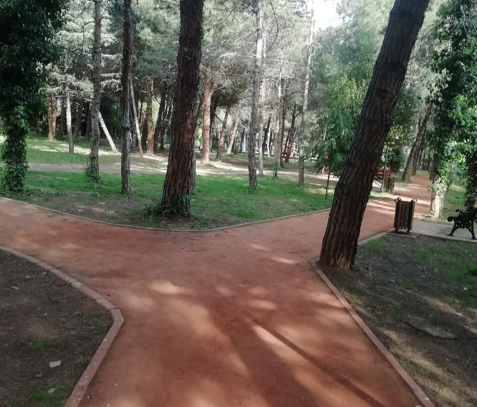Mercan City Park and Sports Facilities景点图片