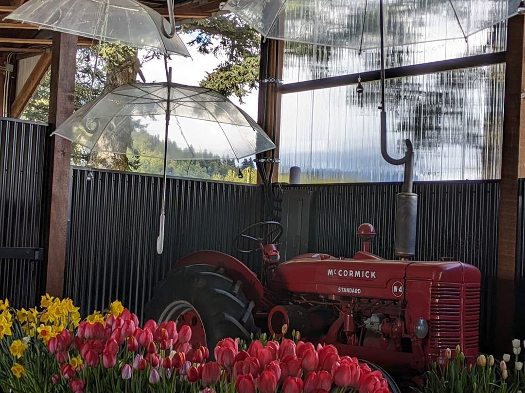 Botanica Flower Festival景点图片