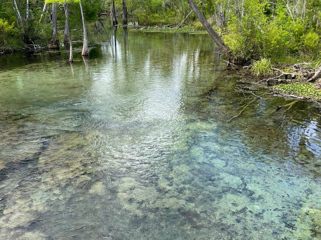 Pitt And Sylvan Springs Recreation Area景点图片