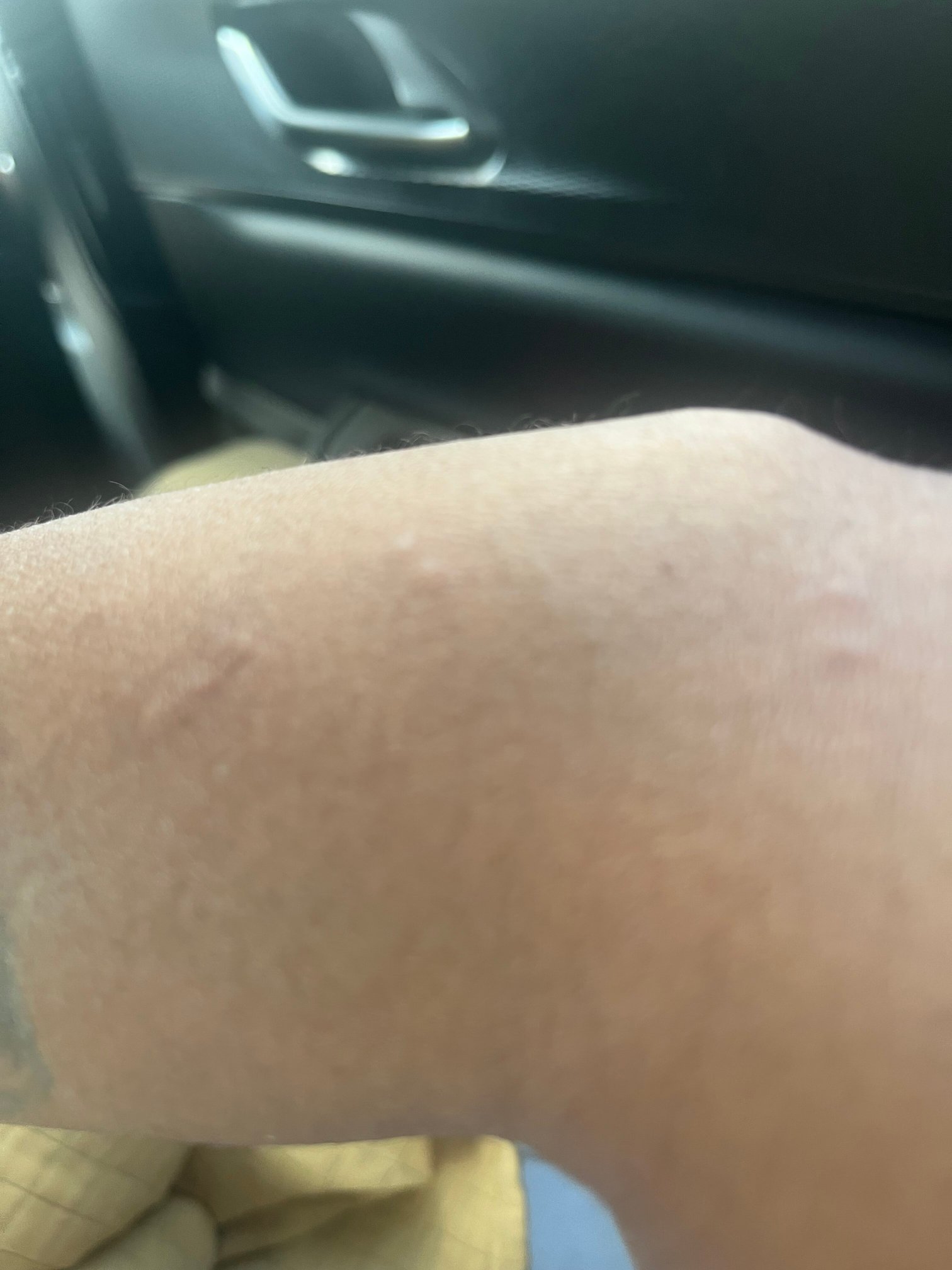 Americas Best Value Inn Tunica Resort-官方