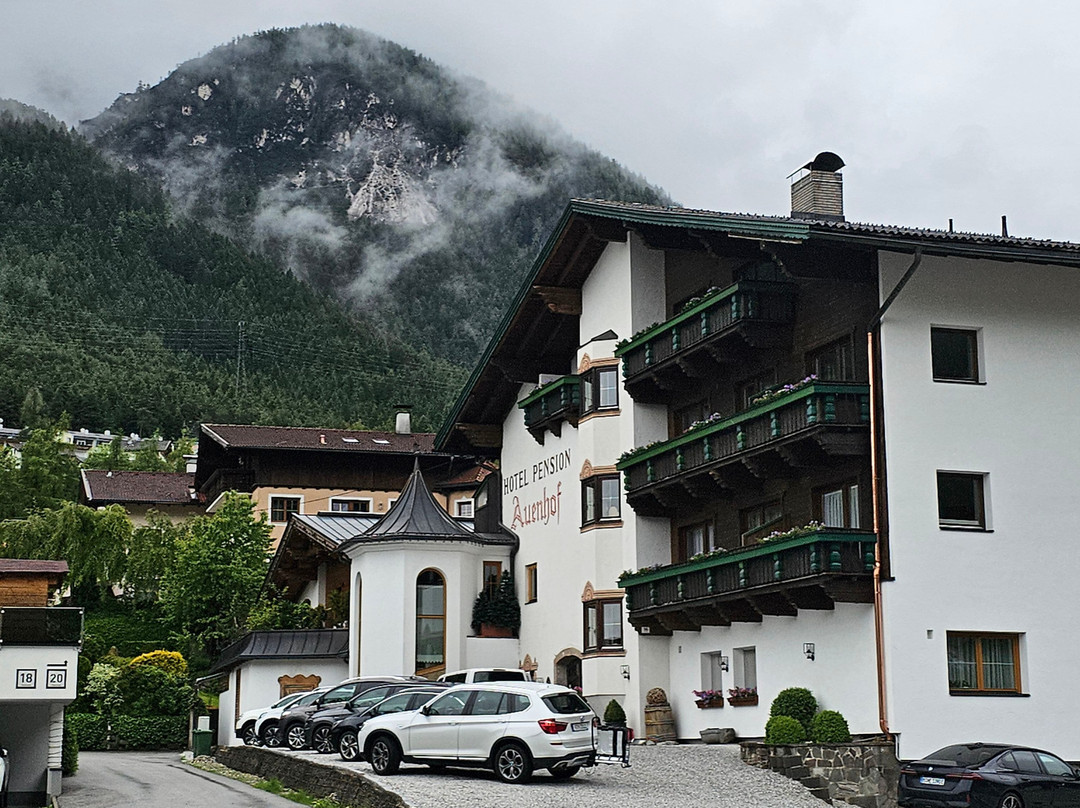 Auenhof Familien & Vitalhotel主图