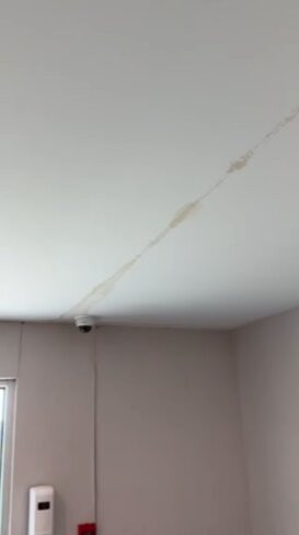 Holiday Inn Express & Suites Bardstown主图