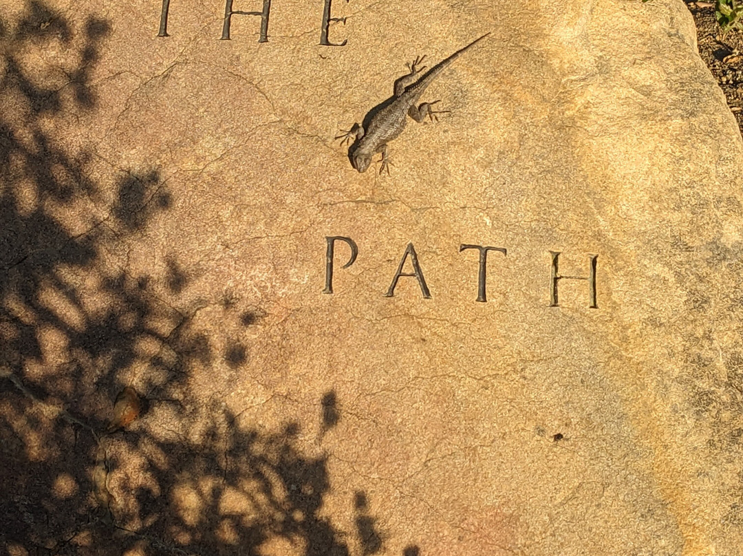 Meditation Mount-奥海必去景点