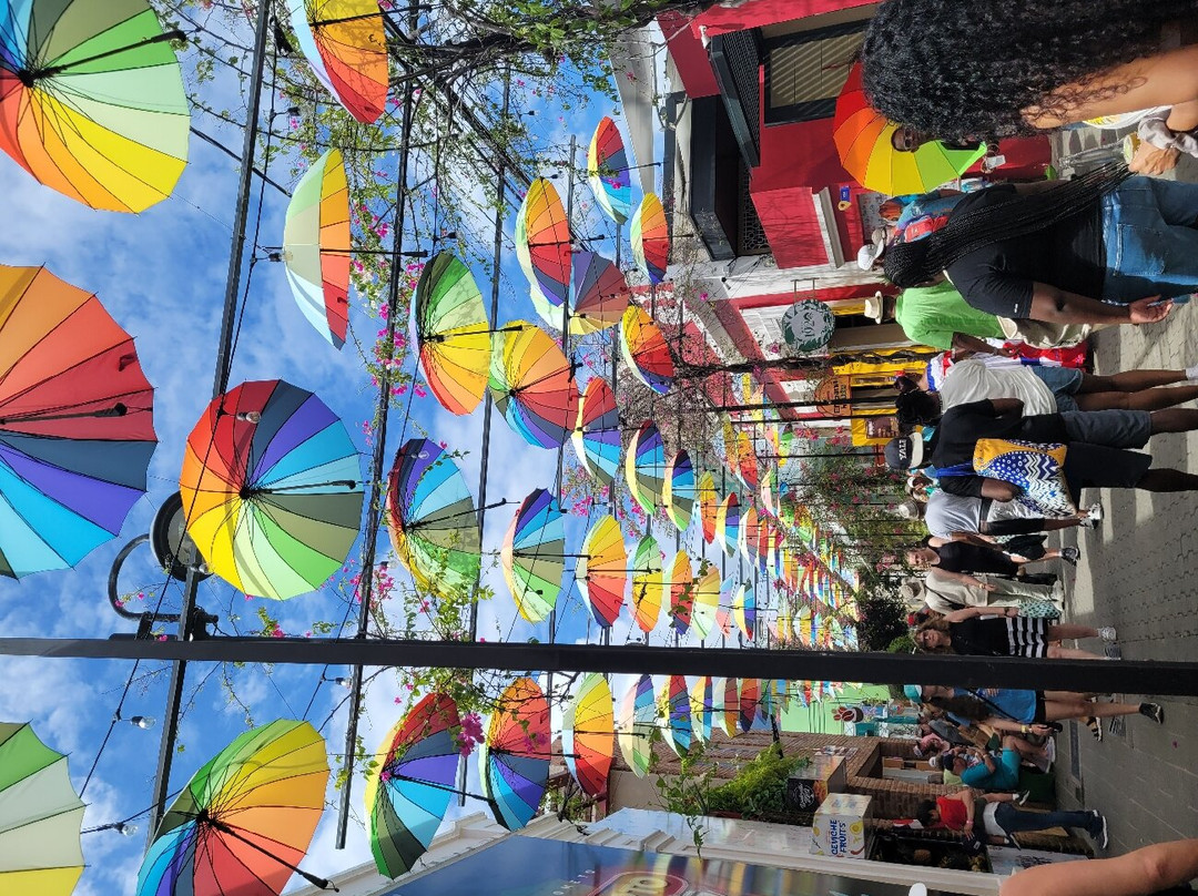 Ramon's Tours - Excursions & Transportation-普拉塔港必去景点