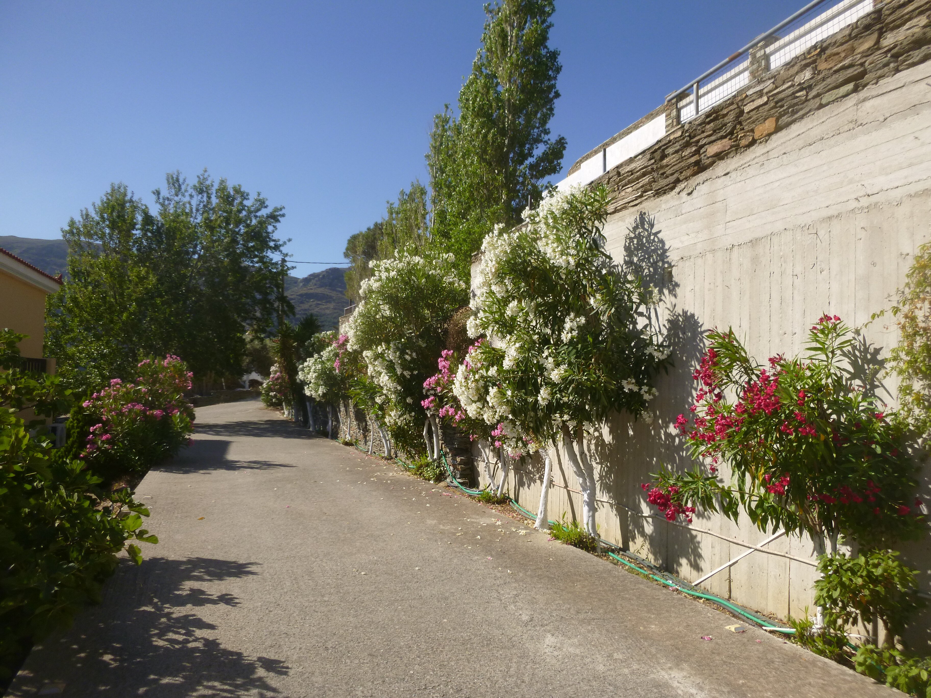 Mainades Maisonettes & Studios-浴室